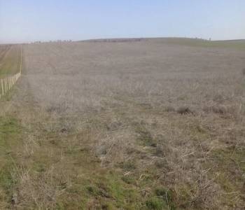 Продается Участок, 12000 м²