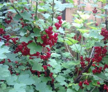 Продается Дом, 370 м²