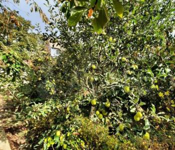 Продается Дом, 75 м²