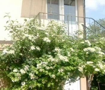 Сдается Дом, 40 м²