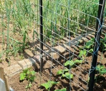 Продается Дом, 40 м²