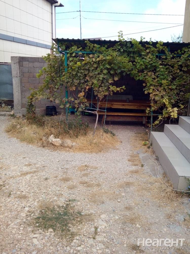 Фотография №5