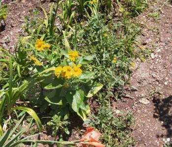 Продается Дом, 20 м²