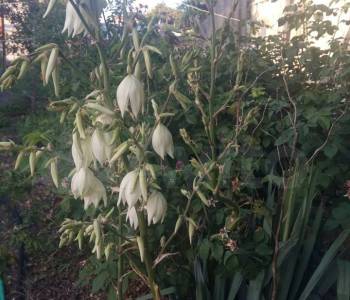 Продается Дом, 20 м²