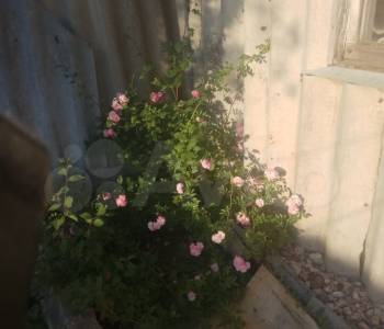 Продается Дом, 20 м²