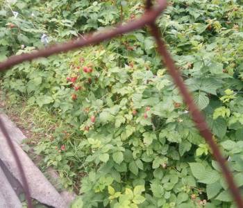 Продается Дом, 20 м²