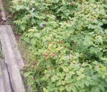 Продается Дом, 20 м²