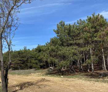 Продается Участок, 810 м²