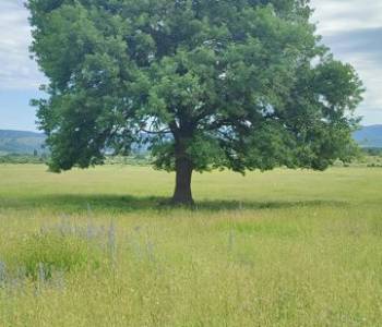 Продается Участок, 920 м²