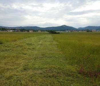 Продается Участок, 920 м²