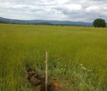 Продается Участок, 920 м²