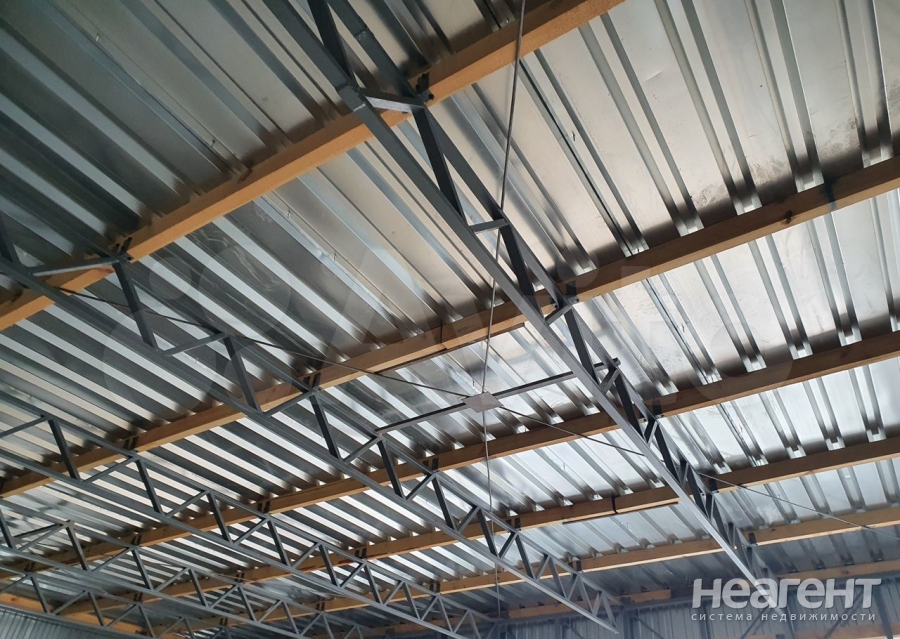 Фотография №2