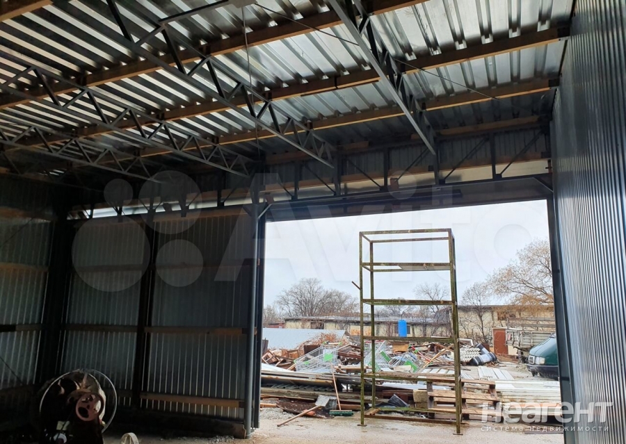 Фотография №3