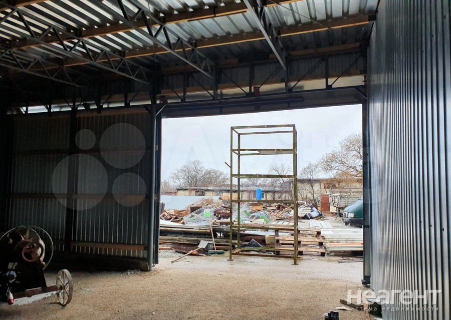 Фотография №4