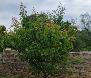 Продается Участок, 937 м²