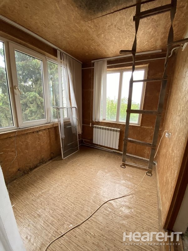 Фотография №3