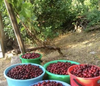 Продается Дом, 20 м²