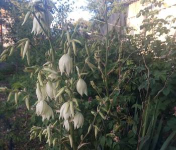 Продается Участок, 407 м²