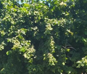 Продается Участок, 407 м²