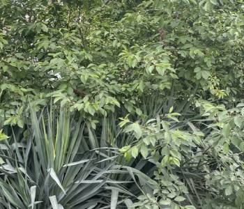 Продается Дом, 45 м²