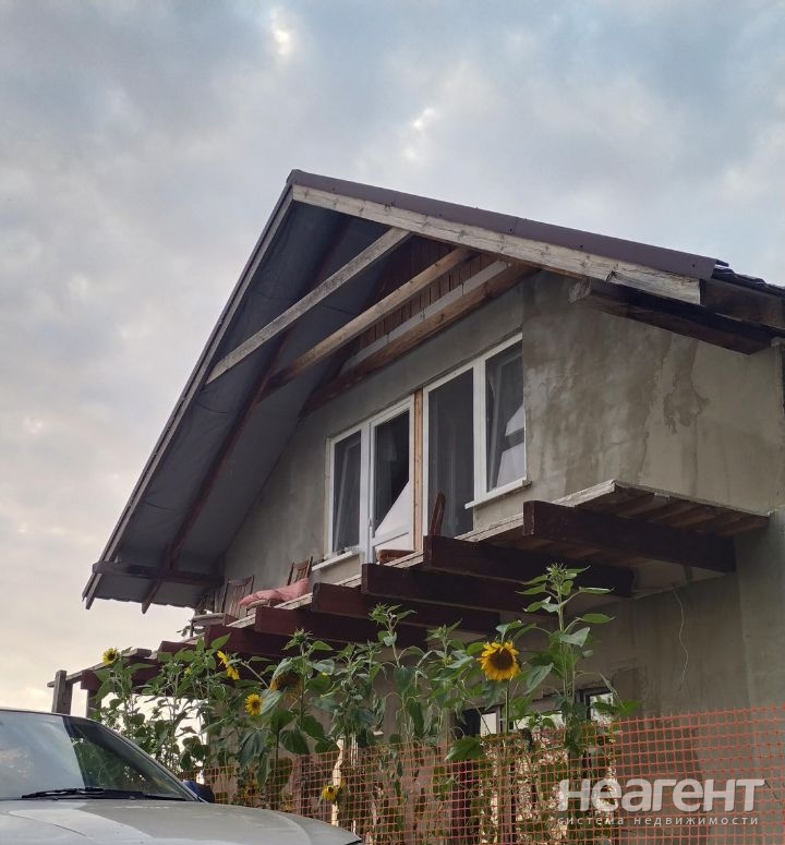 Фотография №3