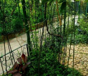 Сдается Комната, 18 м²