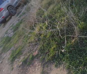 Продается Участок, 500 м²