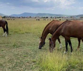 Продается Участок, 1000 м²