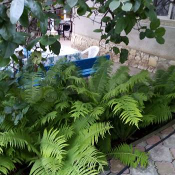 Сдается Дом, 35 м²