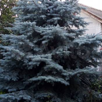 Сдается Дом, 35 м²