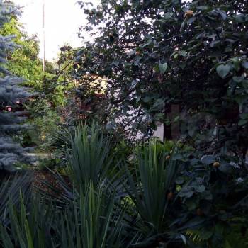 Сдается Дом, 35 м²