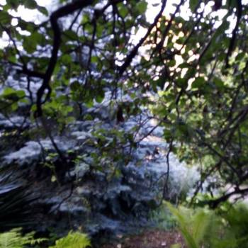 Сдается Дом, 35 м²