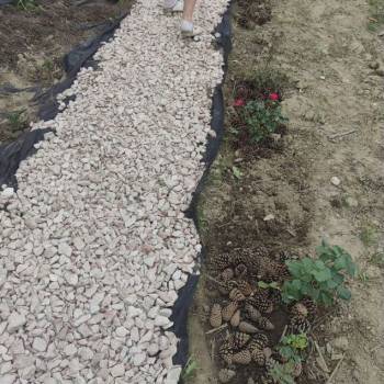 Продается Дом, 48 м²