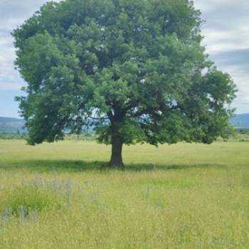 Продается Участок, 860 м²