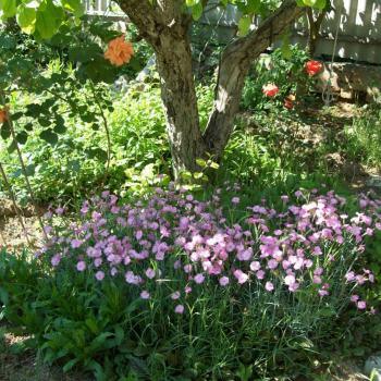 Сдается Комната, 18 м²