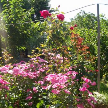 Сдается Комната, 18 м²