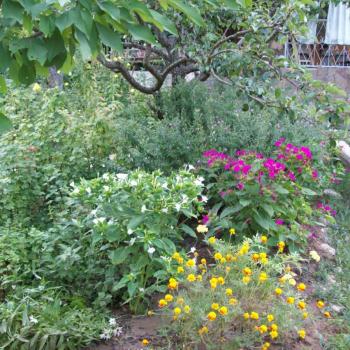 Сдается Комната, 18 м²