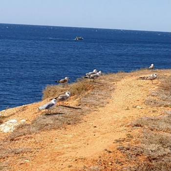 Продается 2-х комнатная квартира, 66 м²