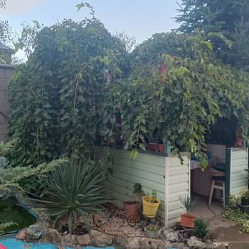 Продается Дом, 67 м²