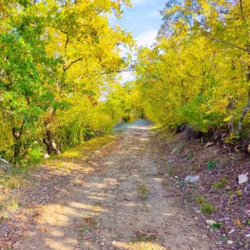 Продается Участок, 844 м²