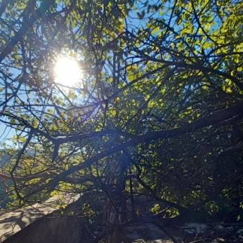 Продается Дом, 46,8 м²