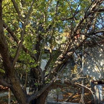 Продается Дом, 46,8 м²