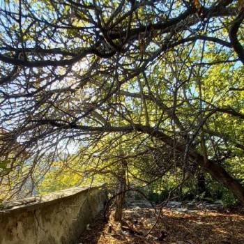 Продается Дом, 46,8 м²