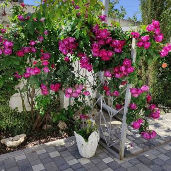 Продается Дом, 200 м²