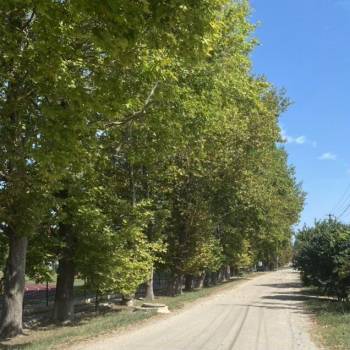 Продается Участок, 1800 м²