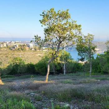 Продается Участок, 800 м²