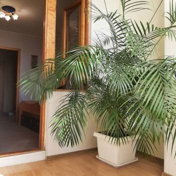 Продается 3-х комнатная квартира, 70,7 м²