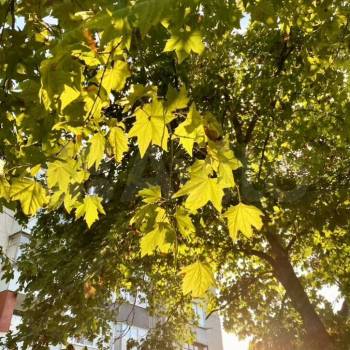 Продается 2-х комнатная квартира, 55 м²