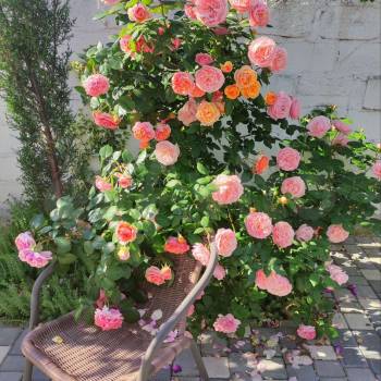 Продается Нежилое помещение, 200 м²