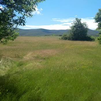 Продается Участок, 76600 м²